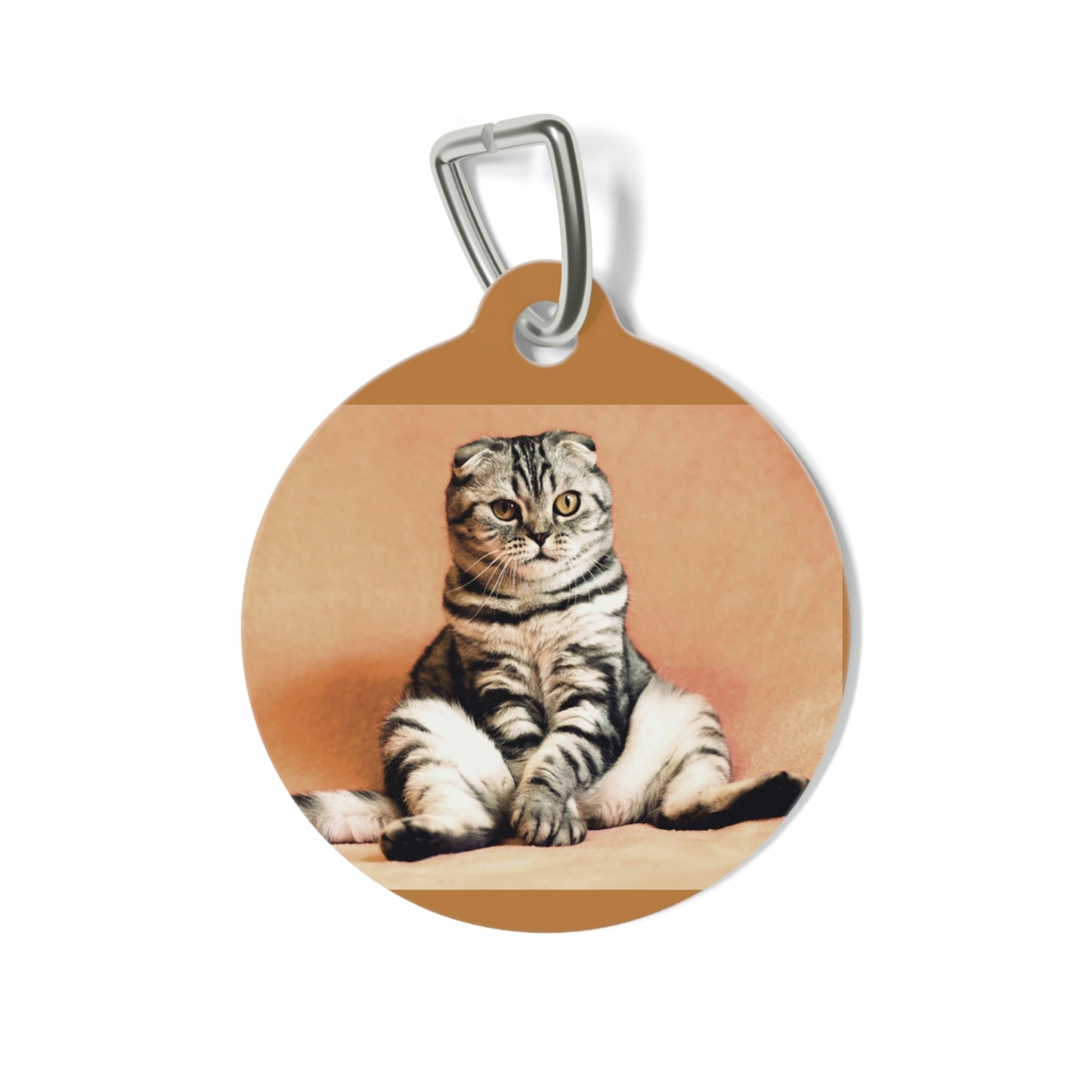 Pet Tag