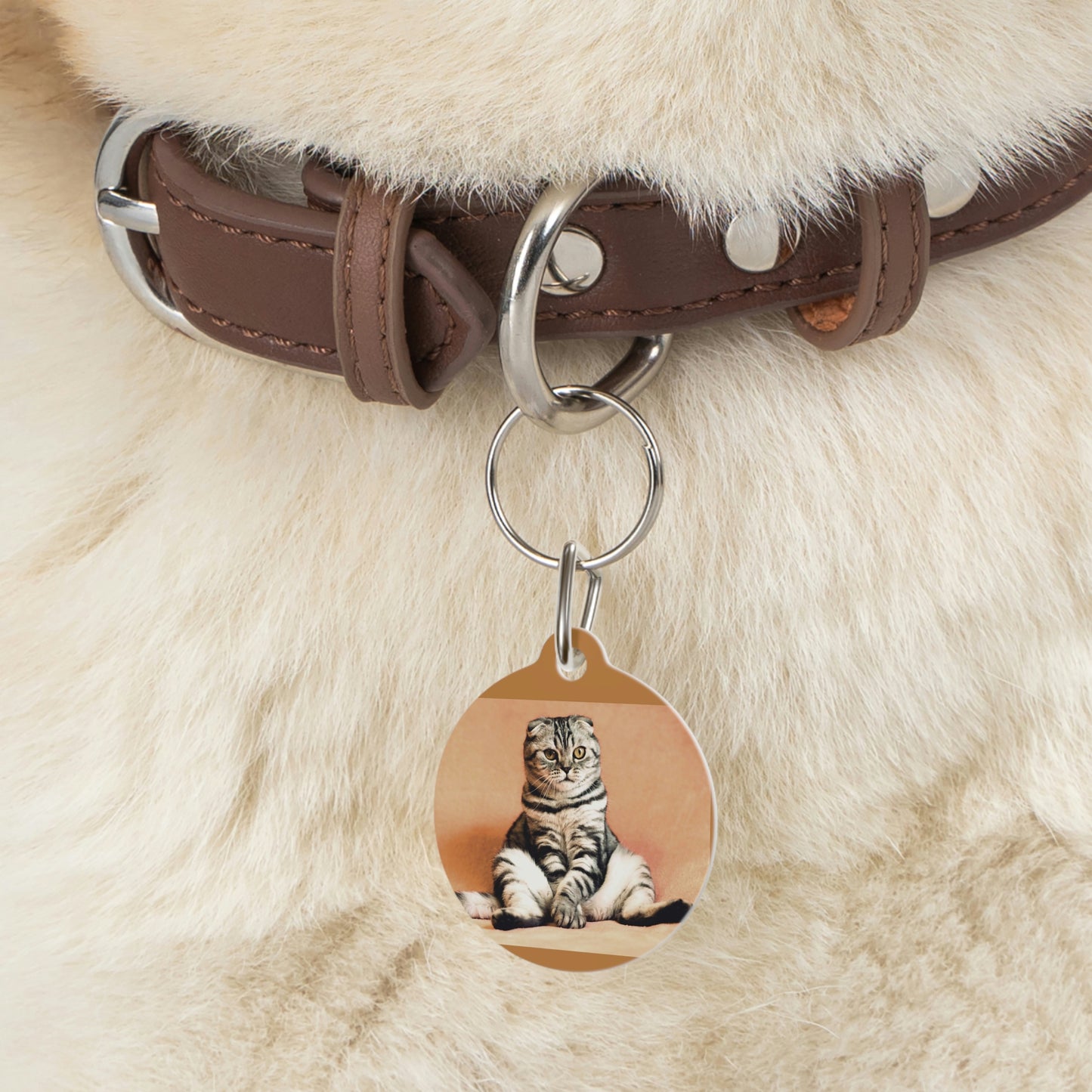 Pet Tag