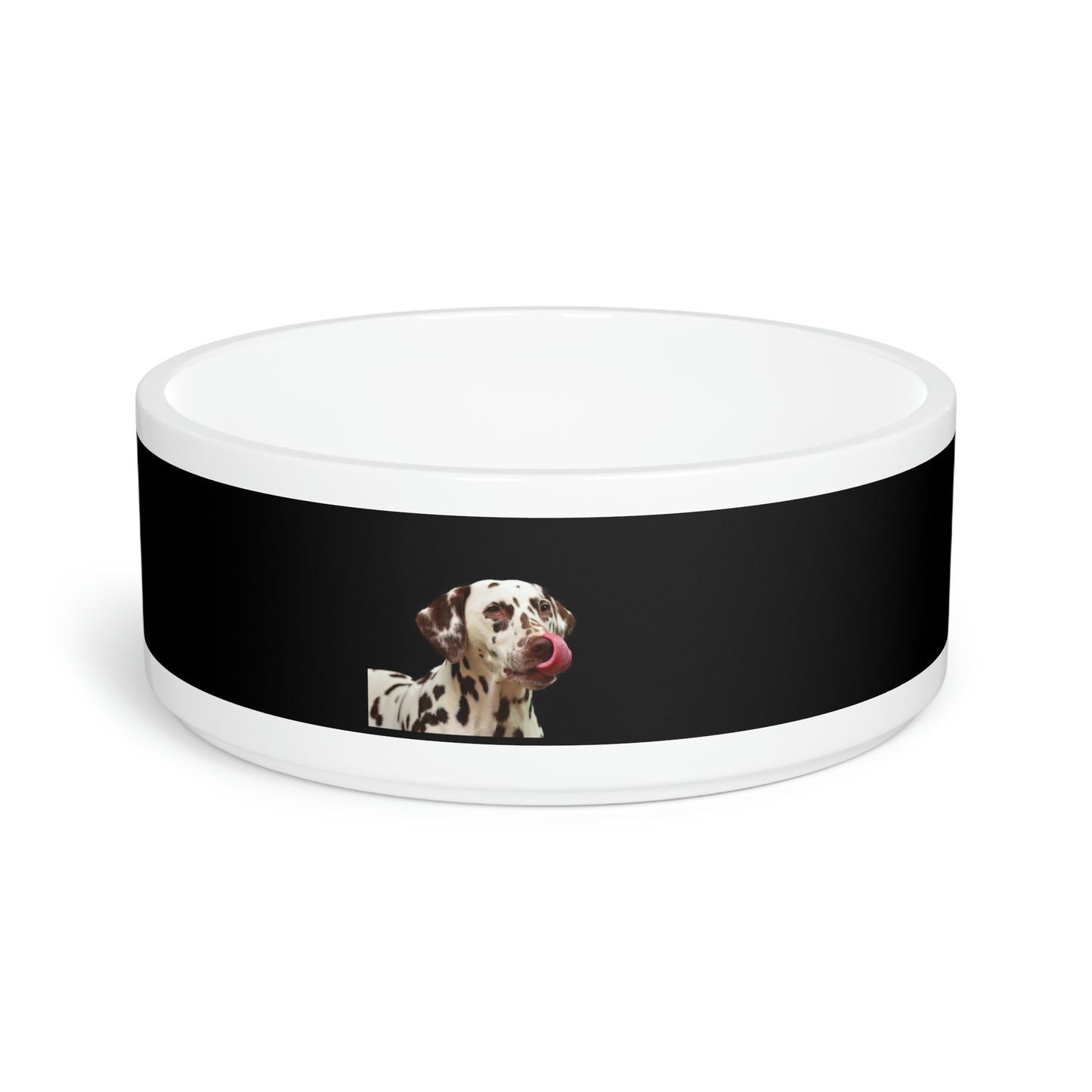 Pet Bowl