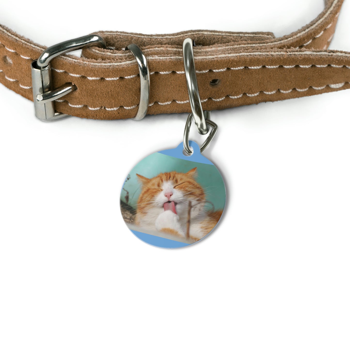 Pet Tag