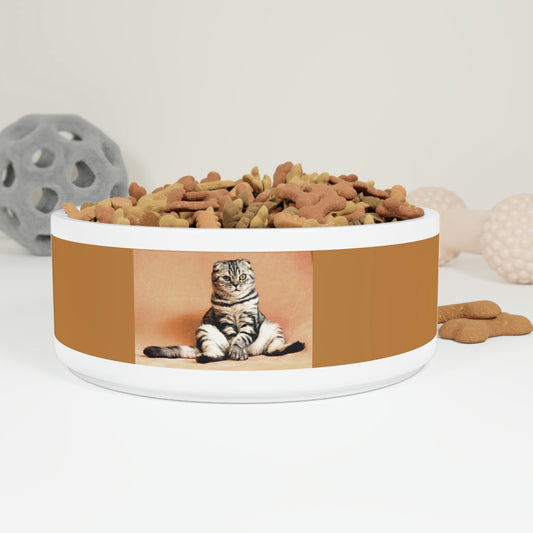 Pet Bowl