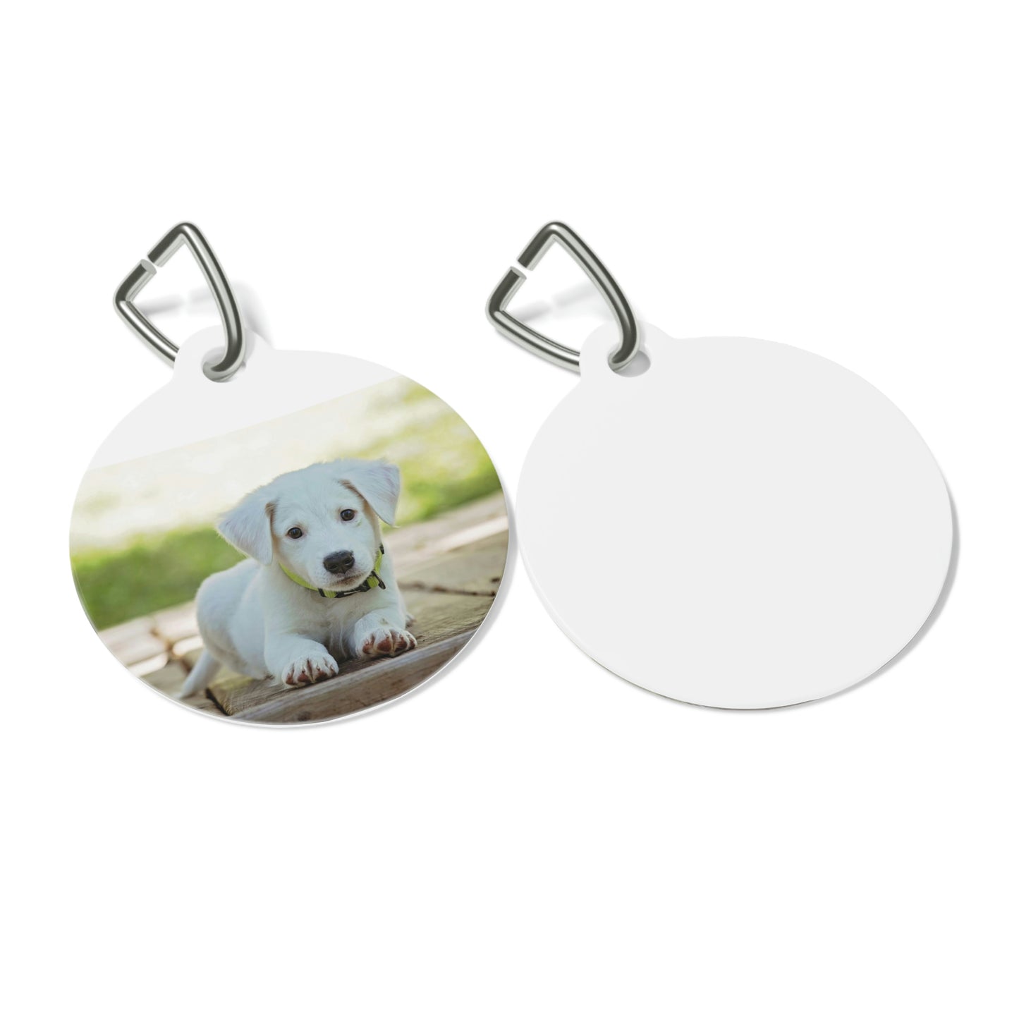 Pet Tag