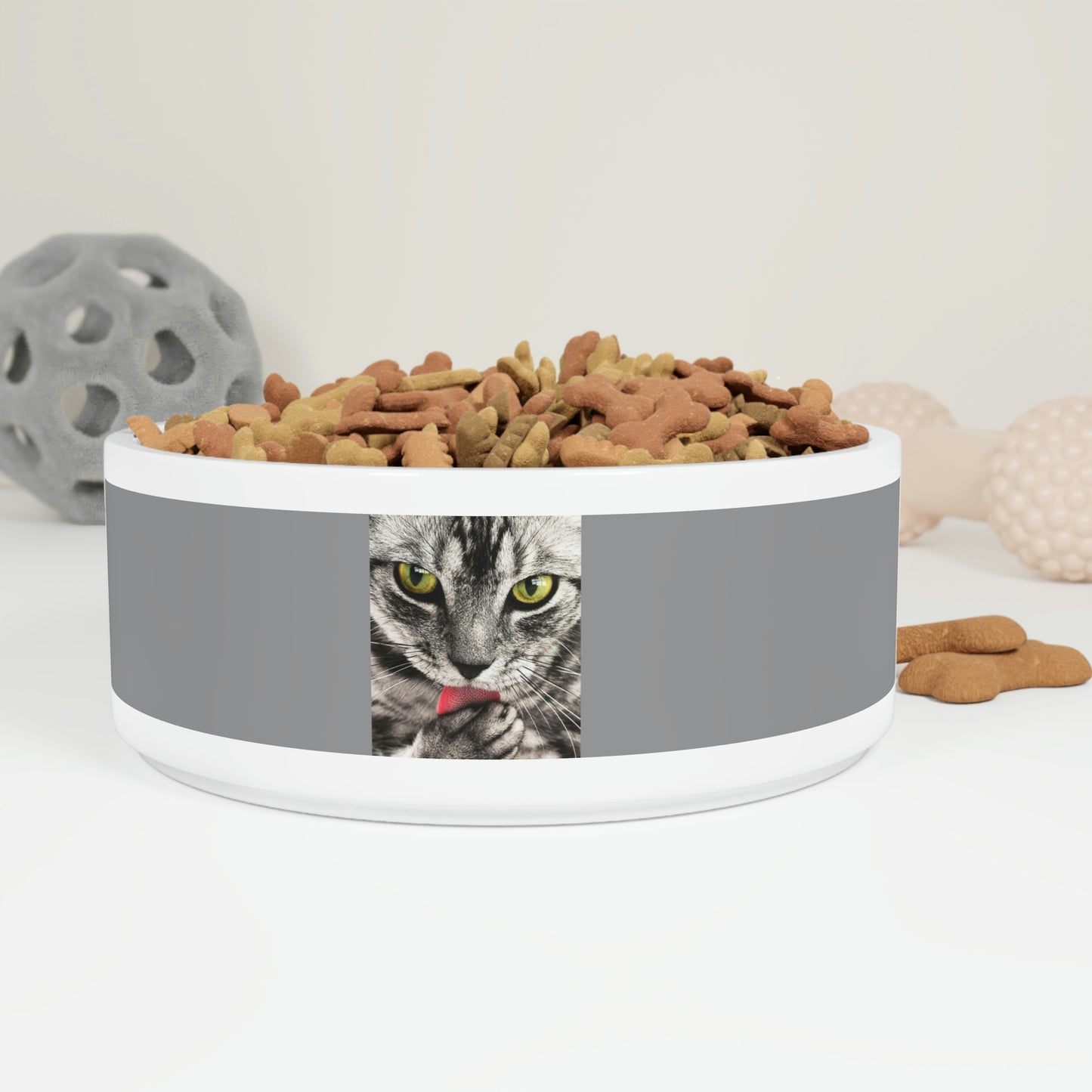 Pet Bowl