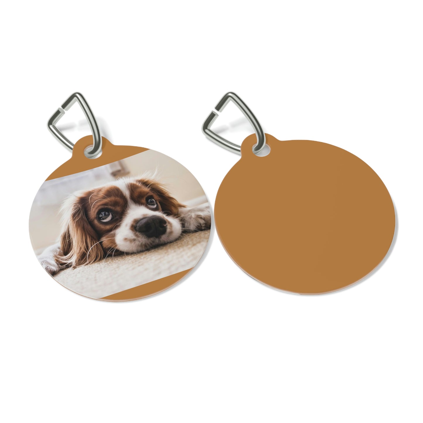 Pet Tag