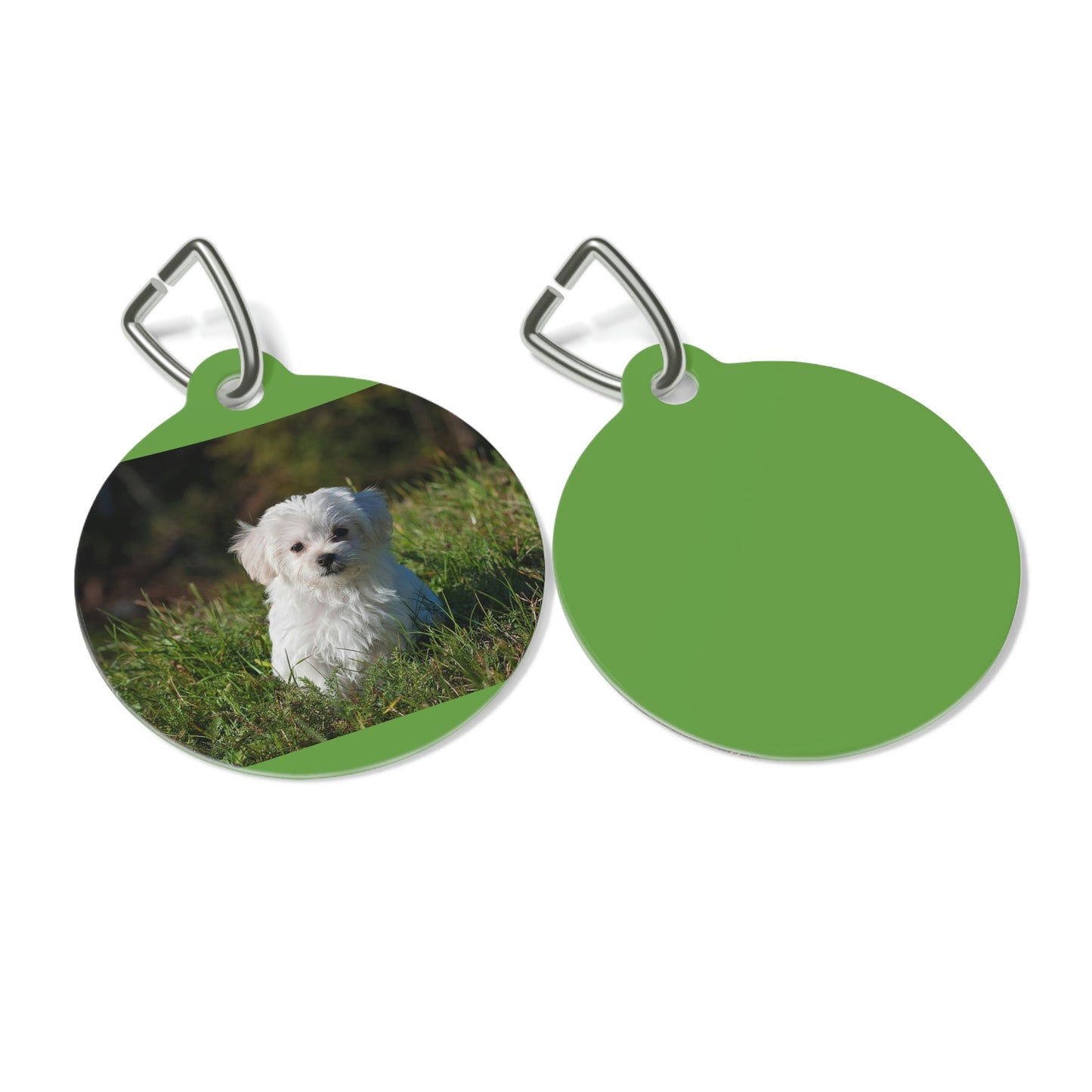 Pet Tag