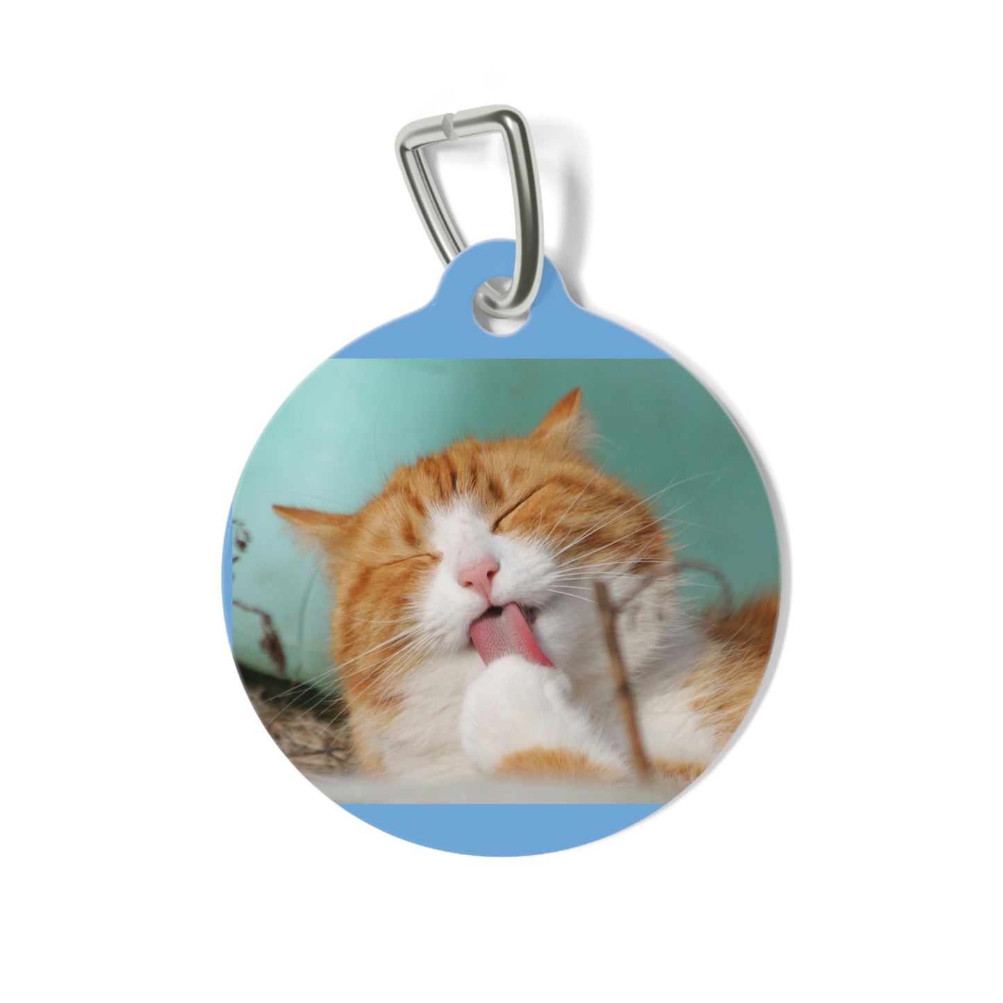 Pet Tag