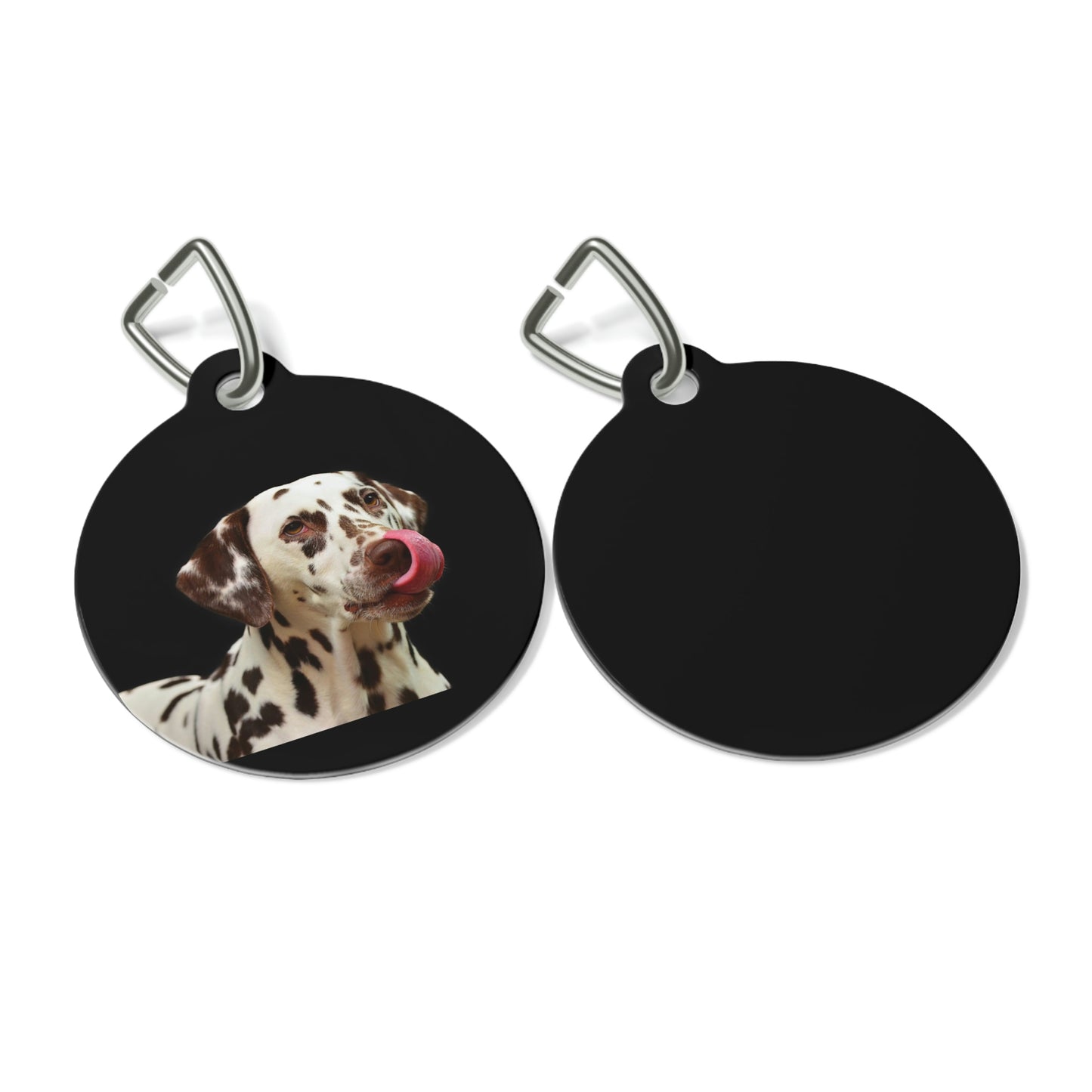 Pet Tag