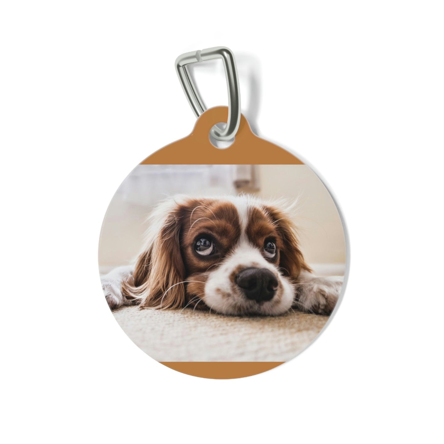 Pet Tag