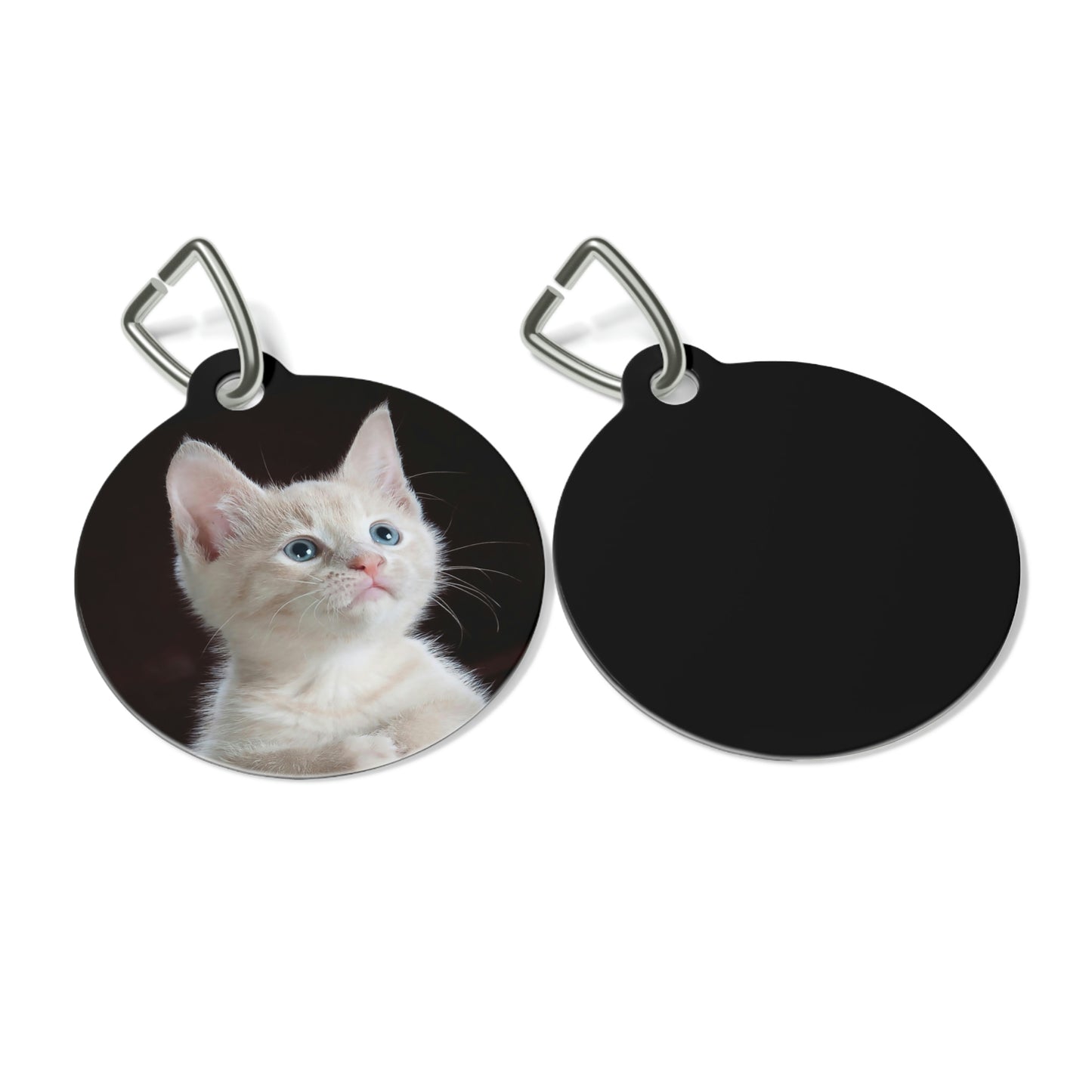 Pet Tag