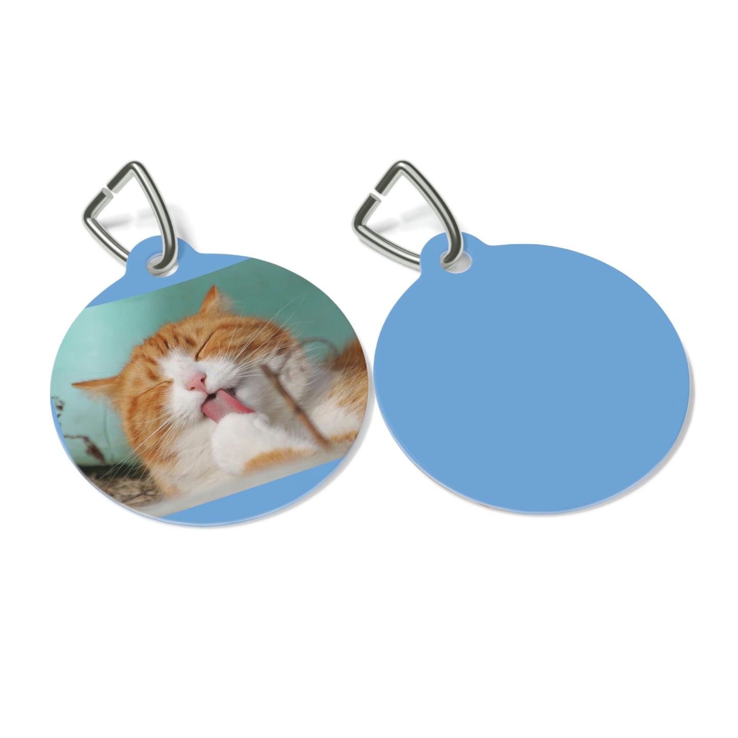 Pet Tag