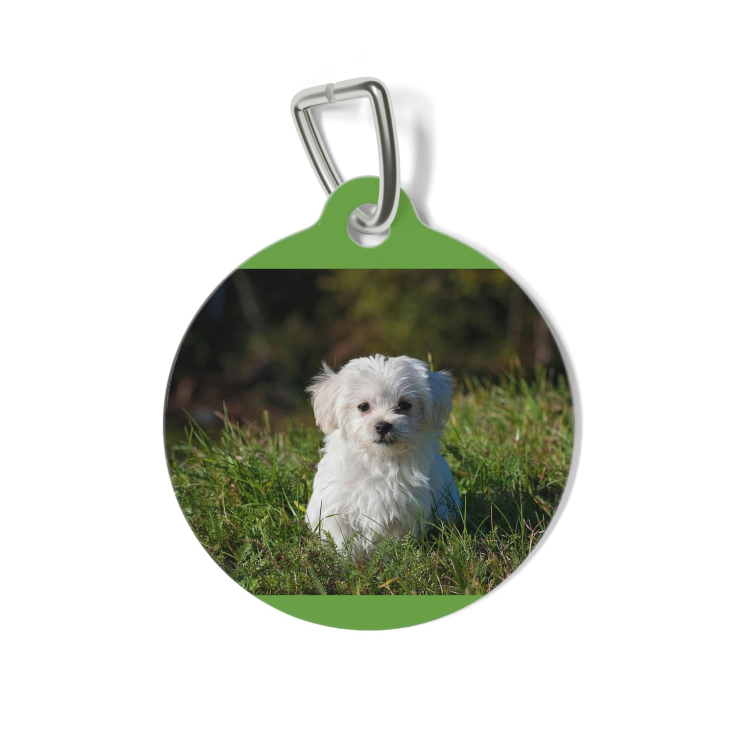 Pet Tag