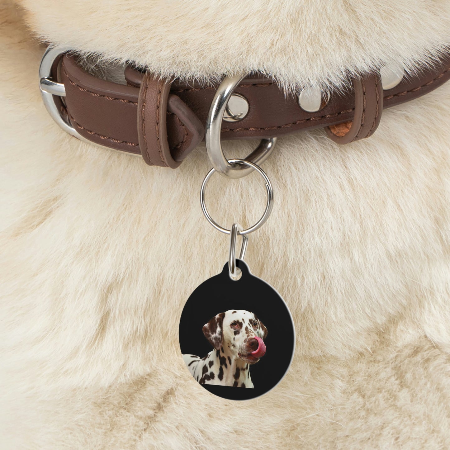 Pet Tag