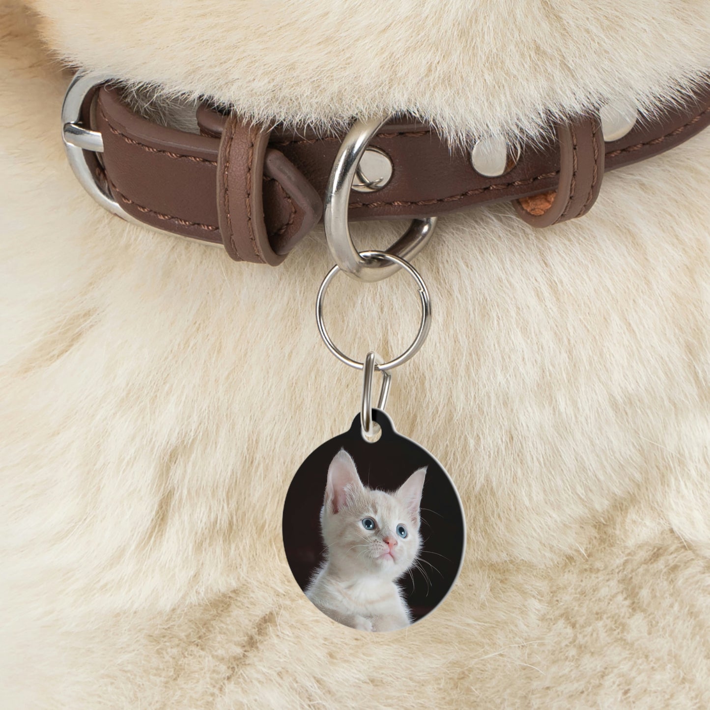 Pet Tag