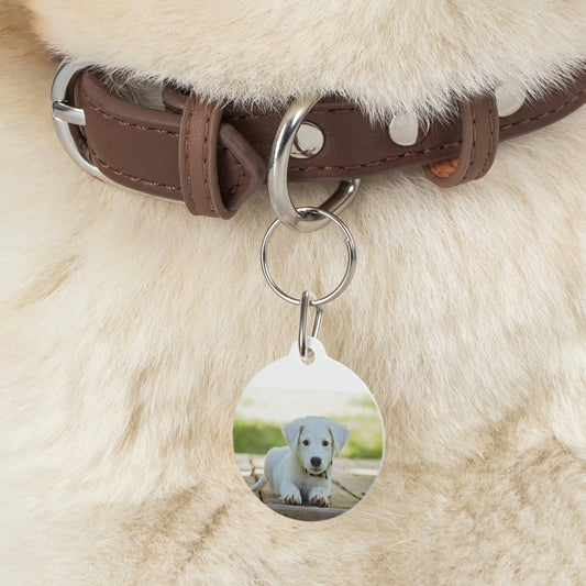 Pet Tag