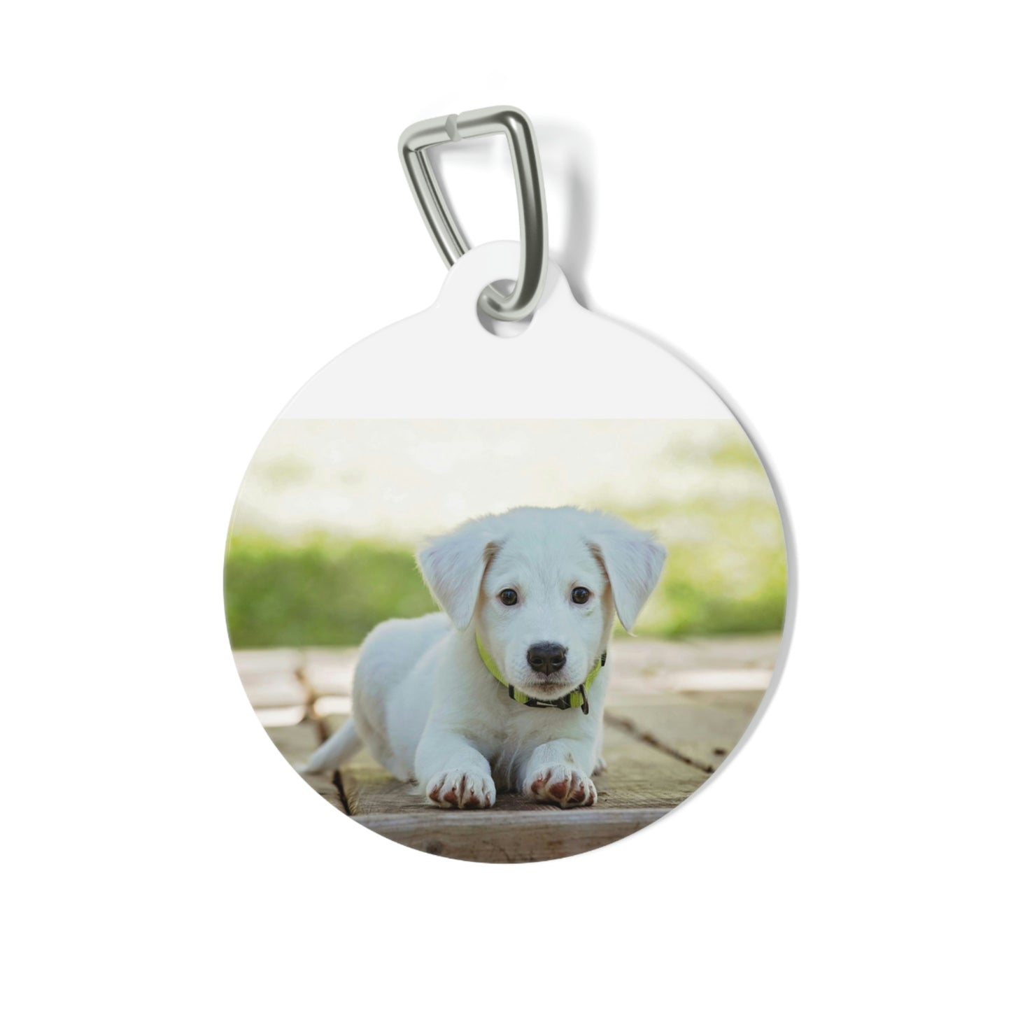 Pet Tag