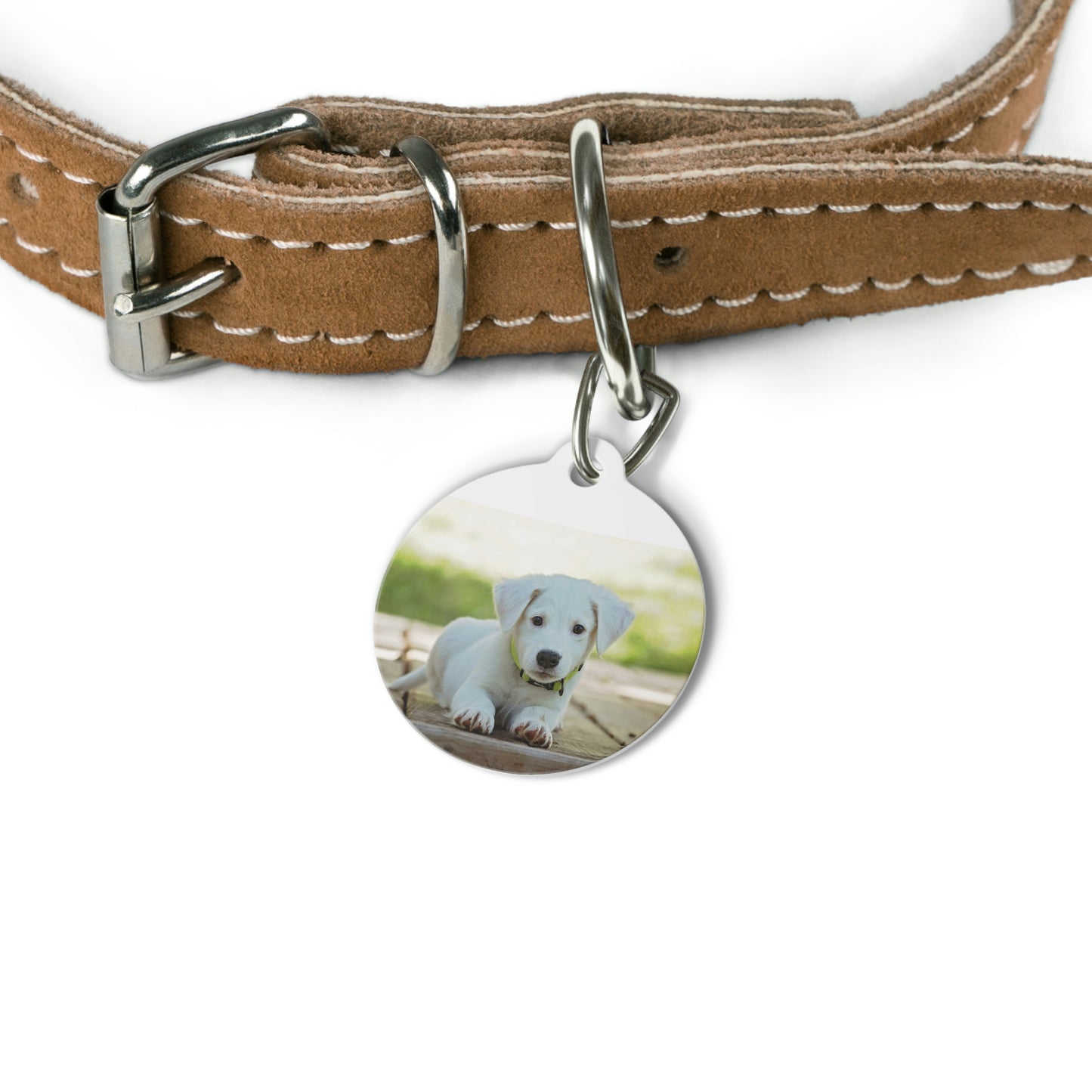 Pet Tag