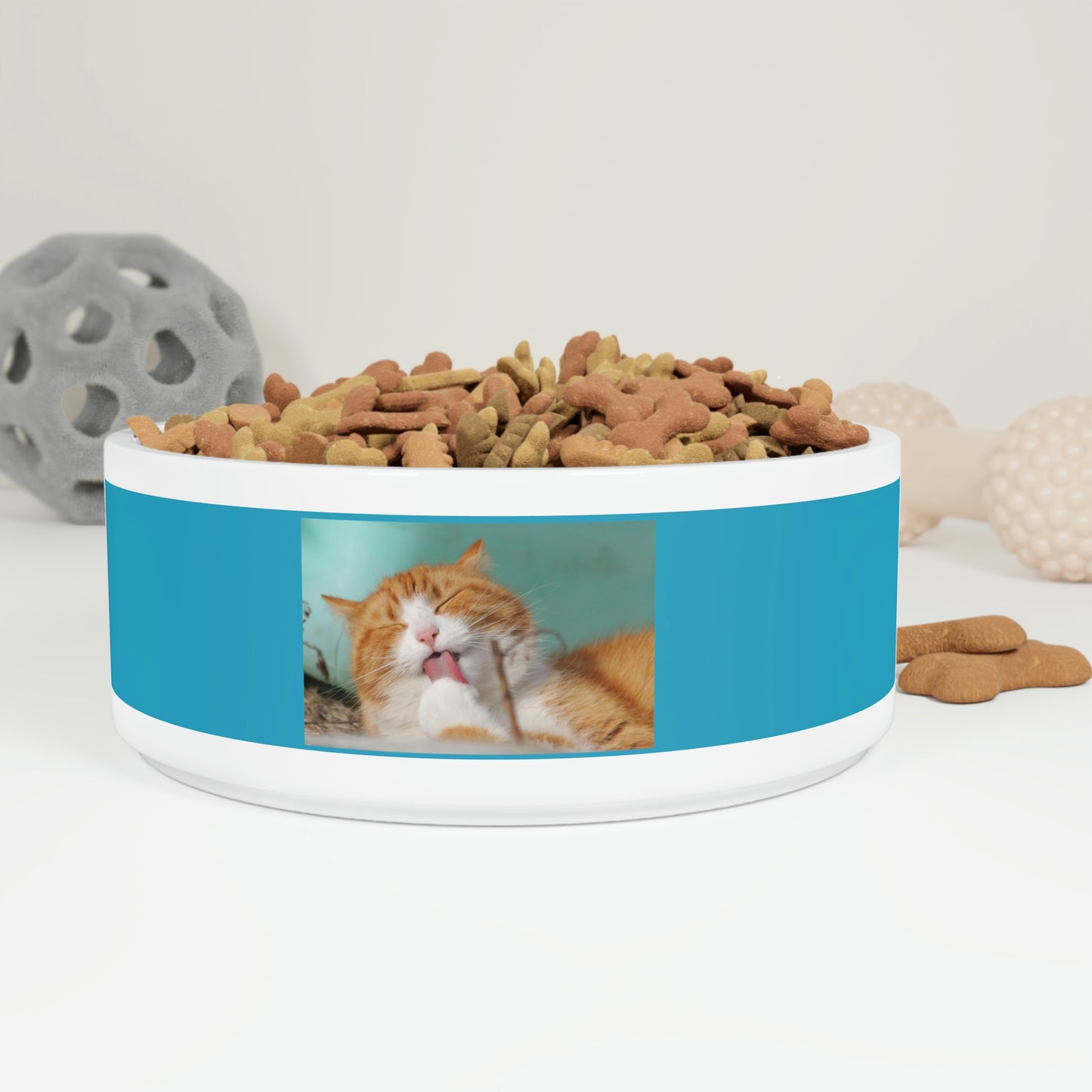 Pet Bowl