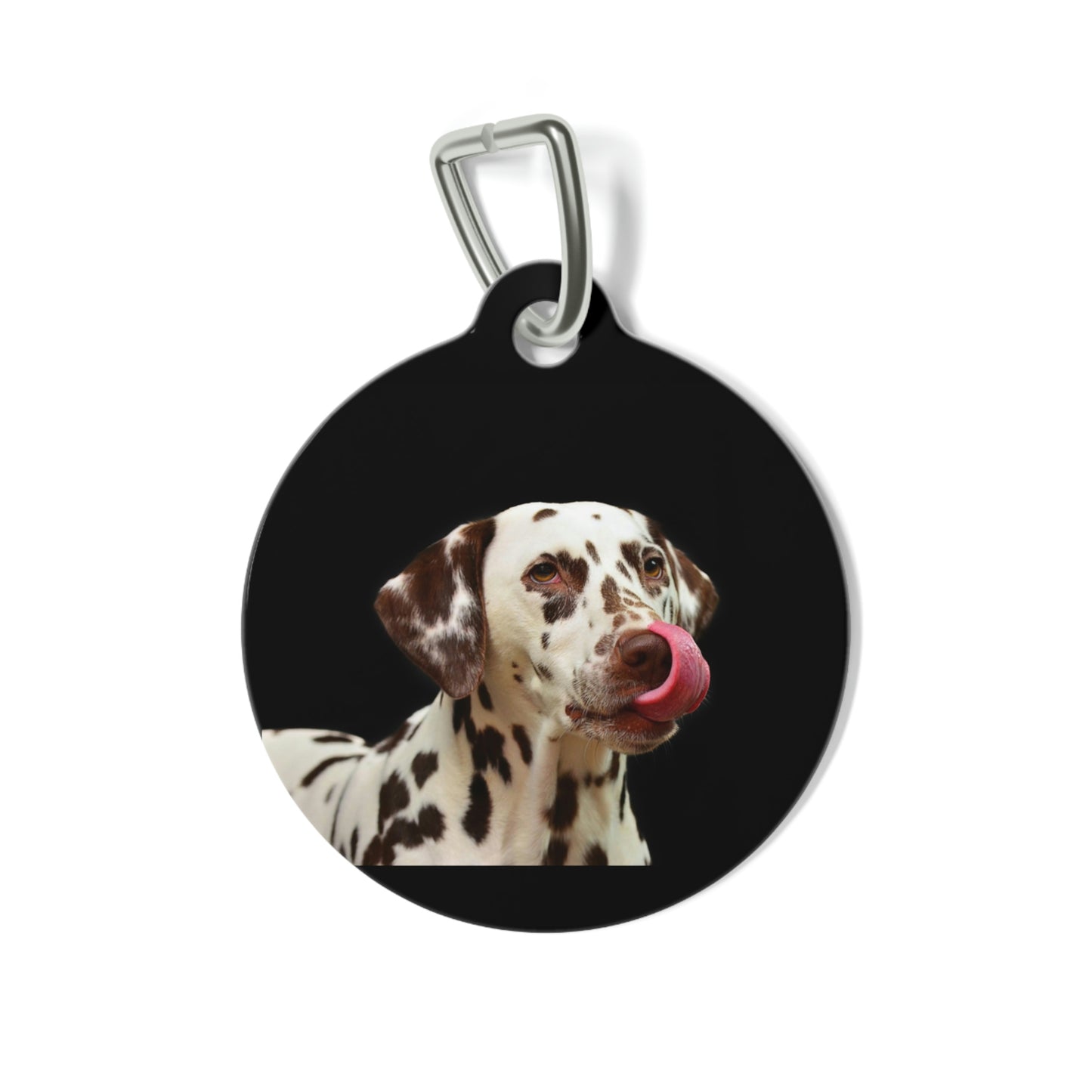 Pet Tag