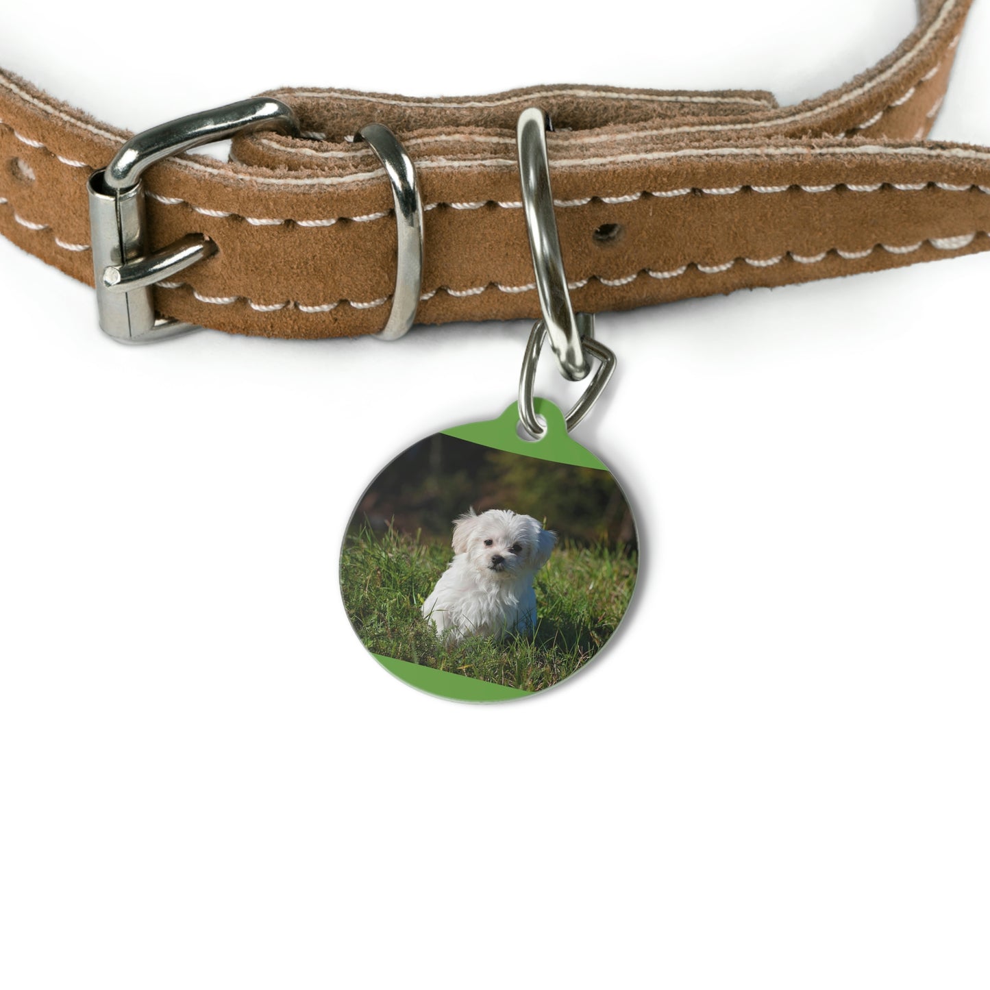 Pet Tag