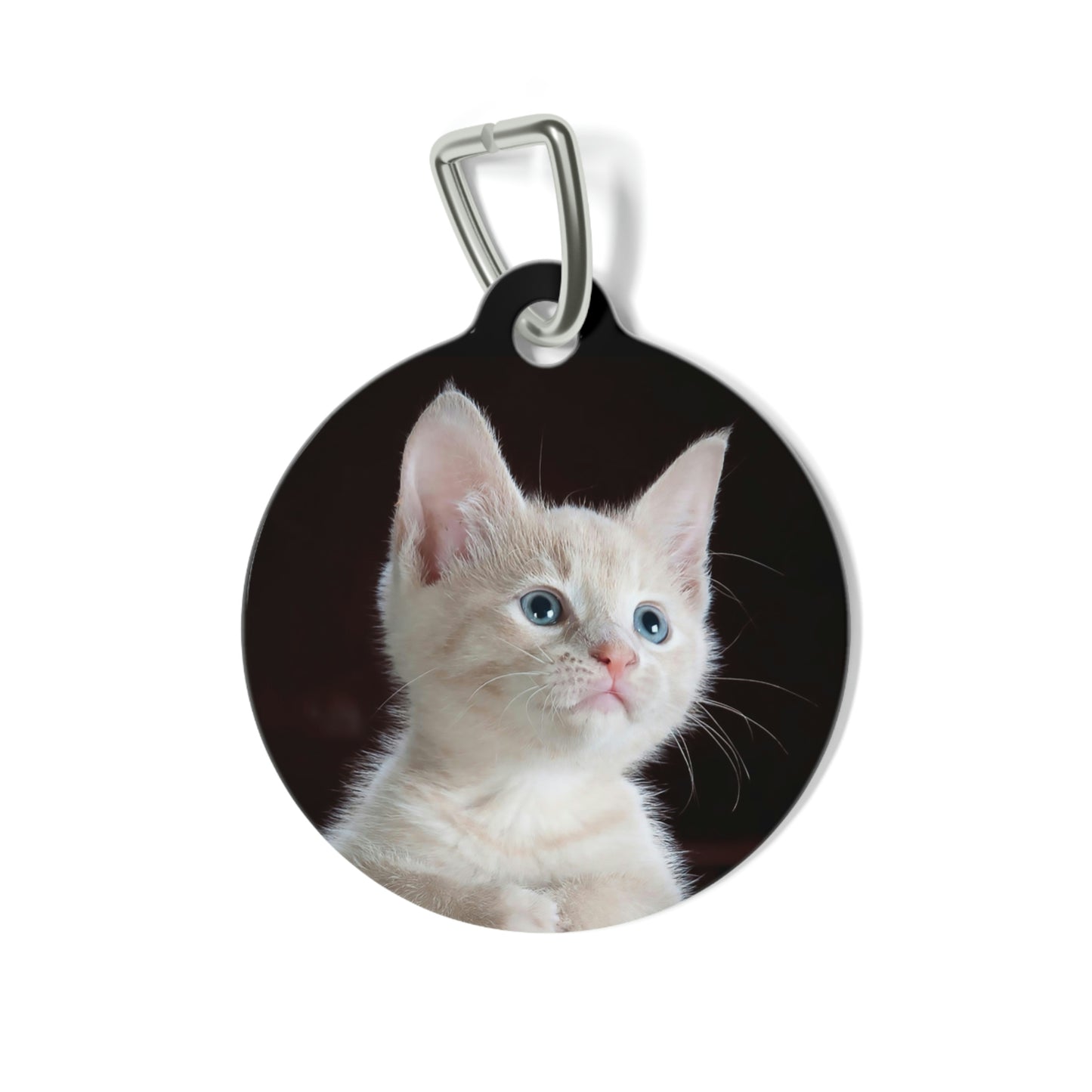 Pet Tag