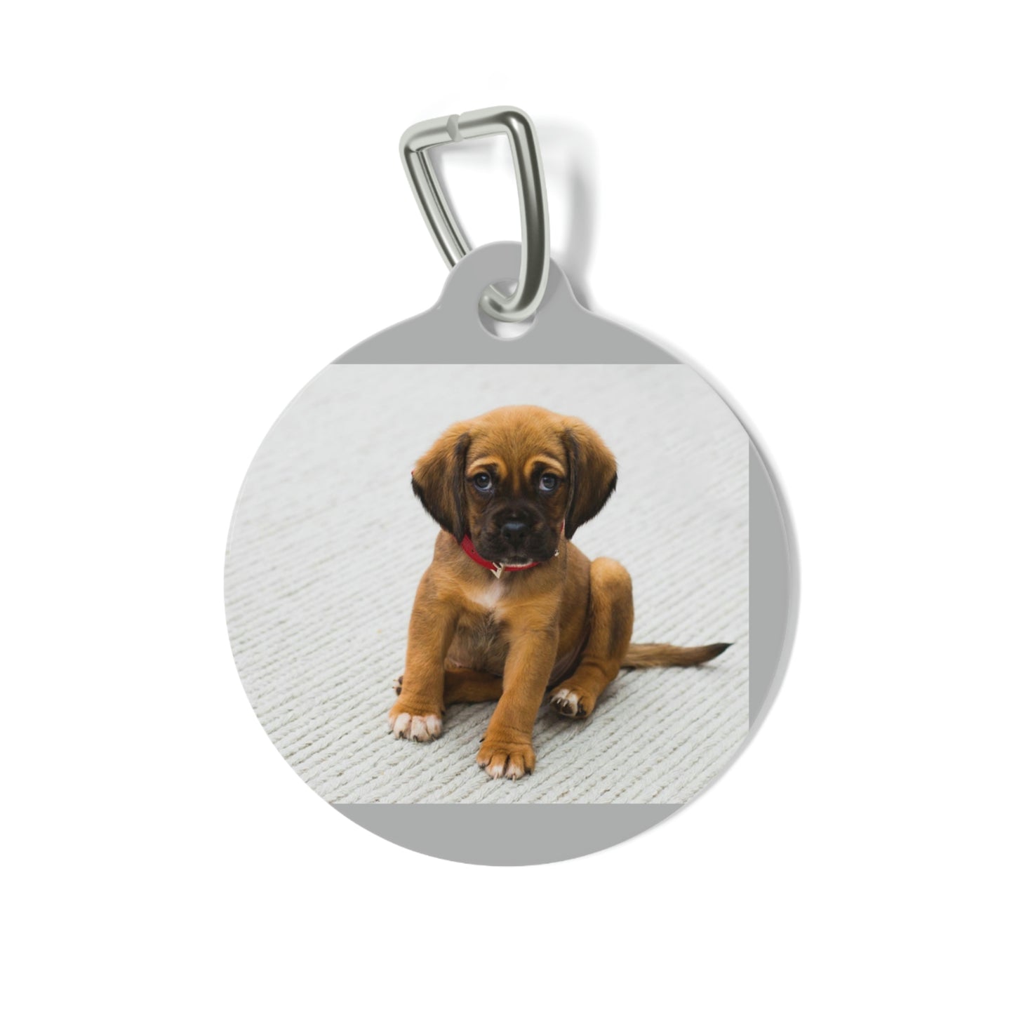 Pet Tag