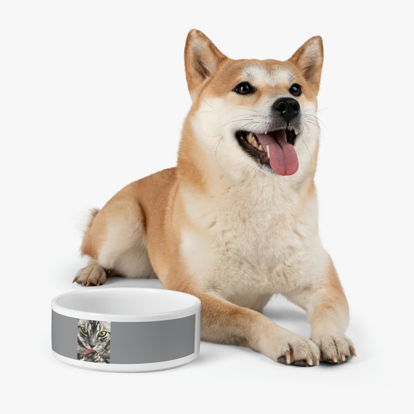 Pet Bowl