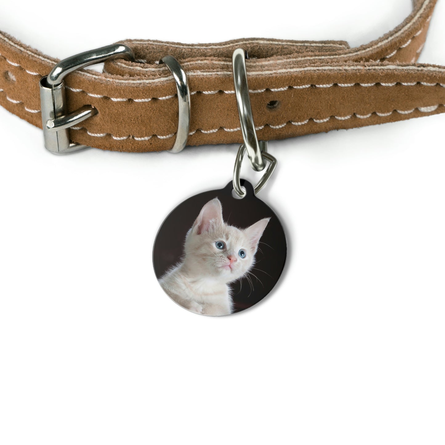 Pet Tag