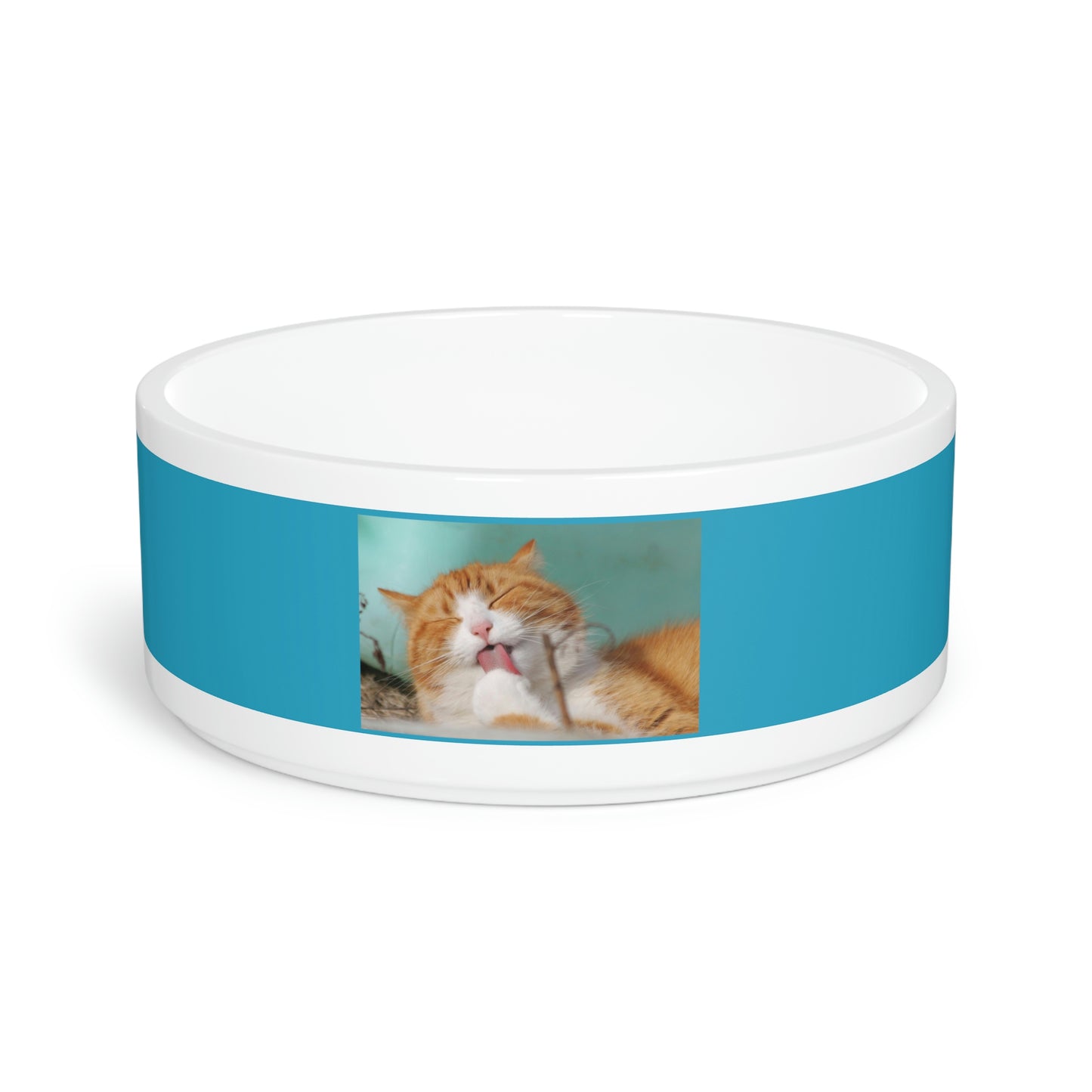 Pet Bowl