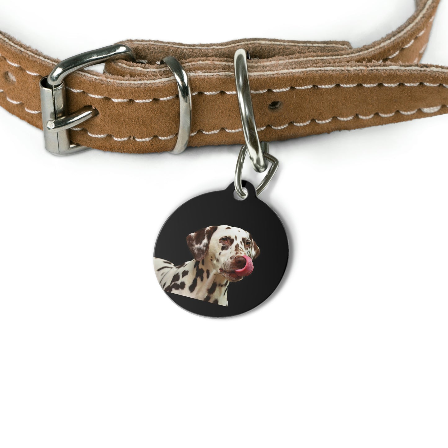 Pet Tag