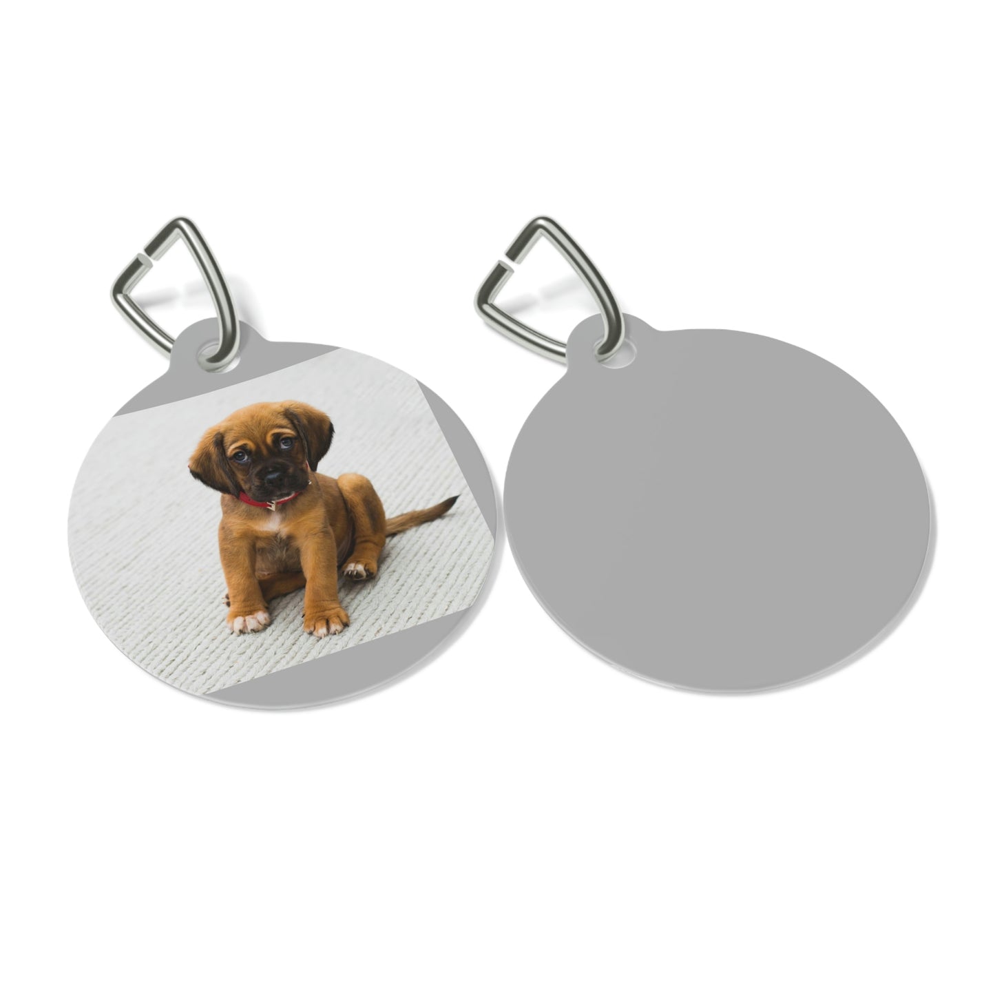 Pet Tag